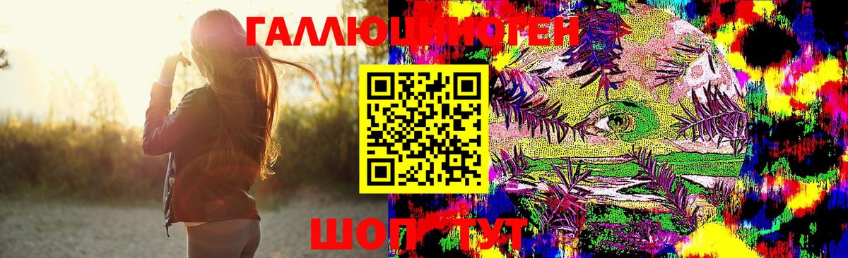 Галлюциногенные грибы Psilocybe Москва