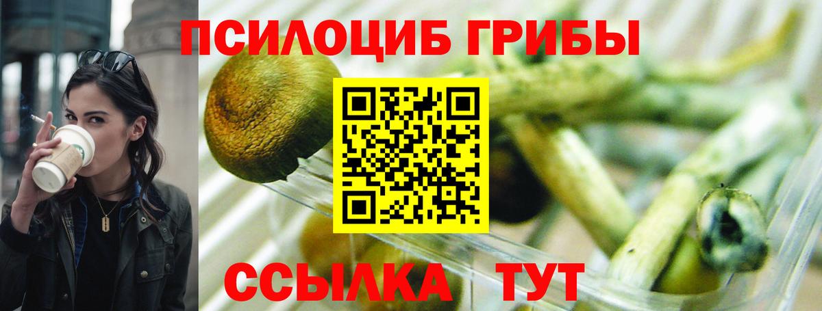Галлюциногенные грибы Psilocybe  Вход с VPN  Москва  Галлюциногенные грибы Psilocybine cubensis 
